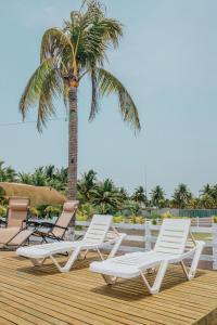 vier ligstoelen en een palmboom op een houten terras bij Los Olivos La Playa Hotel y Restaurante in Escuintla