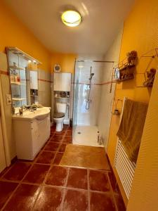 a bathroom with a shower and a toilet and a sink at la maison d'hôtes des Charentes in Les Touches-de-Périgny