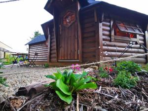 eine kleine Holzhütte mit Blumen davor in der Unterkunft La cabane du Nuton Ardennais in Tournes