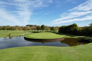 un parcours de golf avec un étang et un green dans l'établissement Das schiefe Haus - Wohnung "Weinlage", à Heppenheim