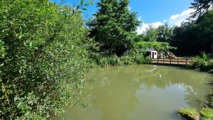 einen Teich mit einer Brücke und Bäumen und ein Haus in der Unterkunft Maison au cœur des Bois in Saint-Martin-de-Sallen