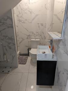 ein weißes Badezimmer mit Toilette und Waschbecken in der Unterkunft Rez de jardin de maison avec grand jardin exclusif in Villejuif