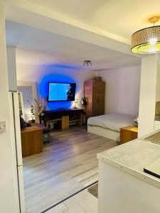 a living room with a bed and a television at Stylish Studio flat - Watford Junction - Harry potter in Watford