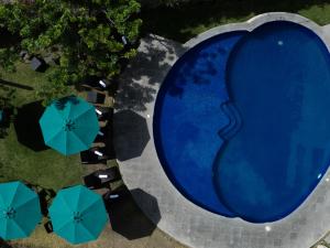 an overhead view of a pool with umbrellas at Memora Chapala in Chapala