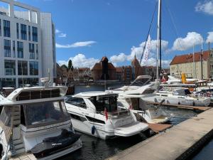 a bunch of boats docked in a harbor at Apart 86B Angielska Grobla 5 - Gdańsk Śródmieście in Gdańsk