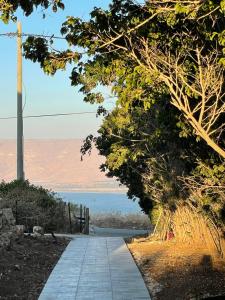 a walkway with trees on the side of a road at דירת ים in Kinneret