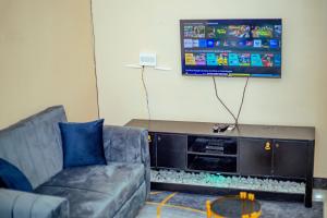 Tammy Homes stay في دار السلام: غرفة معيشة مع أريكة وتلفزيون بشاشة مسطحة
