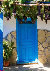 a blue door in a stone wall with grapes at Casa Rasaritul Soarelui Sarichioi in Sarichioi