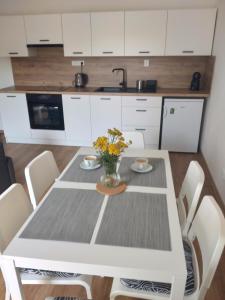 Kuchyň nebo kuchyňský kout v ubytování Apartmán Karlovice - Jeseníky + 11 fotografií