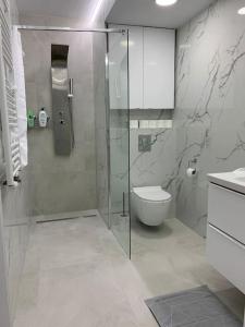 a bathroom with a glass shower and a toilet at Apart 86A Angielska Grobla 5 -Gdańsk Śródmieście in Gdańsk