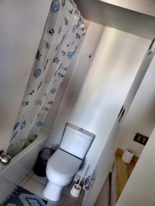 a bathroom with a toilet and a shower curtain at Lindo Departamento Amoblado (Santiago) in Santiago