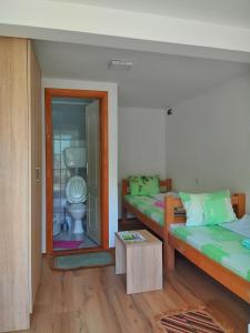 a room with two beds and a toilet at Guesthouse Mirkovic in Pluzine
