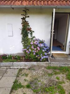 Puutarhaa majoituspaikan Skovhusets B&B i Gislev ulkopuolella