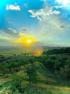 a sunset over a field with trees and the sky at Lernarot Guest House in Lernarot