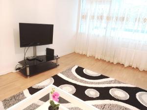a living room with a flat screen tv and a rug at Great location In Helsinki in Helsinki