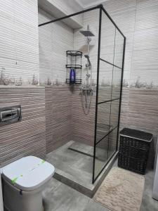 y baño con ducha y aseo. en Sika Sunny Garden Apartment, en Arad