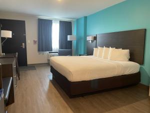 ein Hotelzimmer mit einem Bett und einer blauen Wand in der Unterkunft Howard Johnson by Wyndham Thunder Bay in Thunder Bay