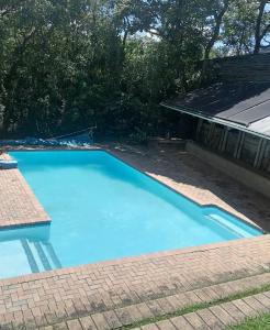 a large blue swimming pool next to a house at Redberry Guest House in Mbabane