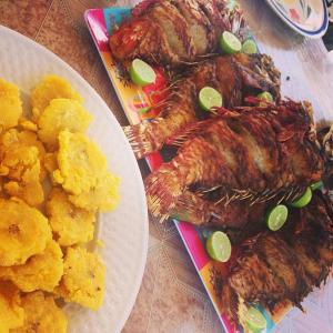 een bord met vlees en aardappelen op tafel bij SamHotels in Salado