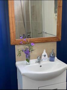um lavatório de casa de banho com espelho e um vaso com flores roxas em ONE TRIP em Paysandú