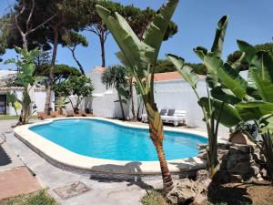 een zwembad met een palmboom ernaast bij Agave lujo y relax en la playa in Chiclana de la Frontera