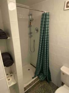 La salle de bains est pourvue d'une douche avec rideau de douche vert. dans l'établissement City centre house close to 3 Arena, à Dublin