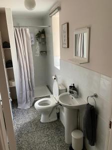 La salle de bains blanche est pourvue de toilettes et d'un lavabo. dans l'établissement City centre house close to 3 Arena, à Dublin