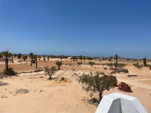 biała ławka w środku pustyni w obiekcie Dar El Amel w mieście Mellita