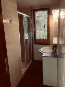 a small bathroom with a sink and a shower at Gîte, Sexey-Aux-Forges, 8 personnes, 180m², 4 chambres 