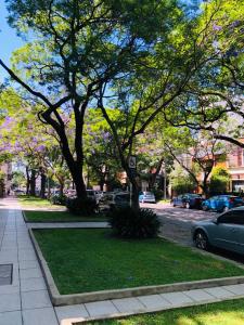 una calle con árboles y coches estacionados en la calle en Hermoso Departamento en Belgrano R para 3 personas en Buenos Aires