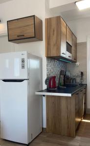 a kitchen with a white refrigerator and wooden cabinets at Roof top Gkazi Apartment on Metro exit: “KERAMEIKOS” in Athens