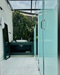a bathroom with a glass shower and a sink at Casa Mannach in Mexico City