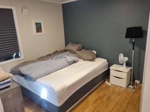 1 dormitorio con cama, lámpara y ventana en bjørnemyra 29h, leilighet, en Alta