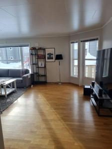 阿爾塔的住宿－bjørnemyra 29h, leilighet，带沙发和电视的客厅