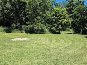 a large grass field with trees in the background at Scenic Solitude in Dryfork