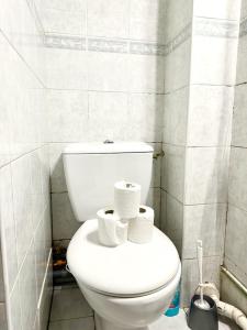 baño con aseo y 2 rollos de papel higiénico en Appartement terasse, en Saint-Maur-des-Fossés