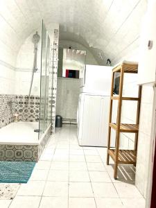 baño pequeño con ducha y nevera. en Appartement terasse, en Saint-Maur-des-Fossés