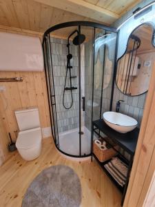 a bathroom with a shower and a toilet and a sink at Chatka Pradziadka i Jurty na Wodzie in Pokrówka