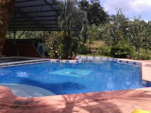 Bazén v ubytování Hotel Maguey nebo v jeho okolí