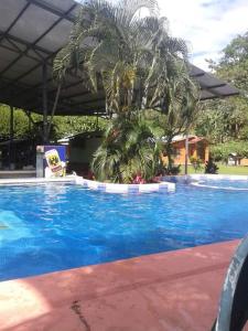 Bazén v ubytování Hotel Maguey nebo v jeho okolí