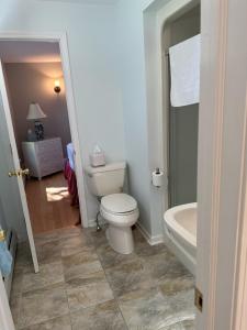 a bathroom with a toilet and a bath tub at Claddagh Cottage in Richfield Springs