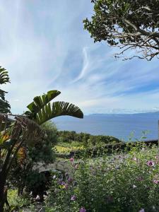 Santo Amaro的住宿－Casa do Laureano，从种满鲜花的花园欣赏到海景