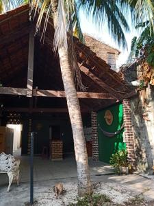 a palm tree in front of a building with a dog at Big Hostel Brasil in Manaus