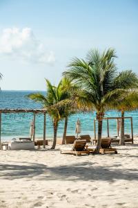 a beach with chairs and palm trees and the ocean at Punta Blanca Beach House in Costa Mujeres