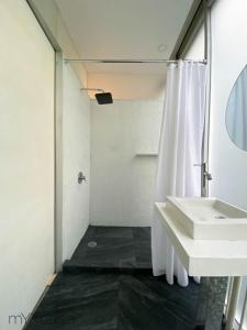 y baño con lavabo y ducha. en Two bedroom apartment in the heart of La Roma, en Ciudad de México