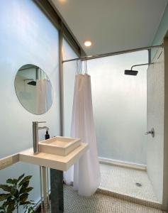 y baño con lavabo y ducha. en Two bedroom apartment in the heart of La Roma, en Ciudad de México