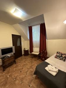 um quarto com uma cama e uma televisão num quarto em Pałac Tarnowskich Hotel & Restauracja & SPA em Ostrowiec Świetokrzyski