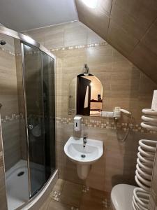 uma casa de banho com um lavatório e um chuveiro em Pałac Tarnowskich Hotel & Restauracja & SPA em Ostrowiec Świetokrzyski