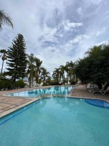 una gran piscina con agua azul y árboles en Casa Jacarandas, en Chapala