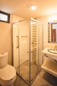 a bathroom with a shower and a toilet and a sink at El Jazmin de Zanya in Dolores Hidalgo